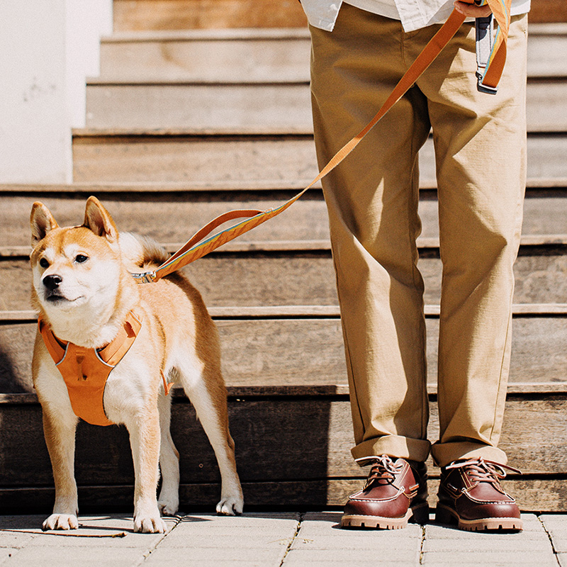 Męskie buty żeglarskie w stylu – Men Formal Wear With Boots recenzja i cena